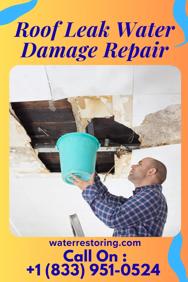 Roof Leak Water Damage Repair in Lake Cherokee, TX